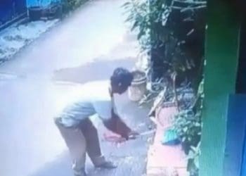 Sopir angkot diduga pukuli kucing sampai mati. Foto: Antara