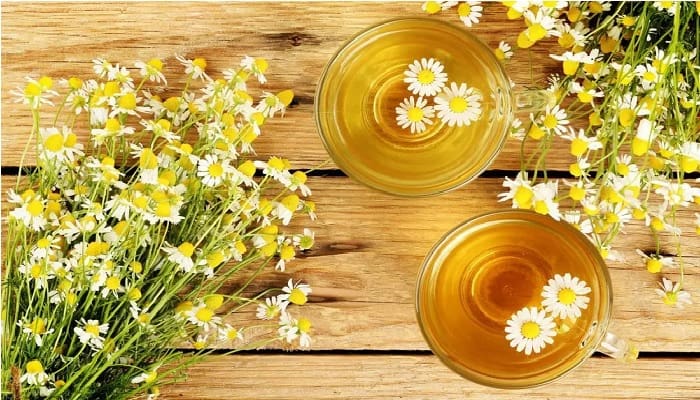 Hindari Kafein, Ini 3 Jenis Teh yang Bisa Dikonsumsi selain Teh Hijau 1 Ilustrasi. Foto:
Medical News Today