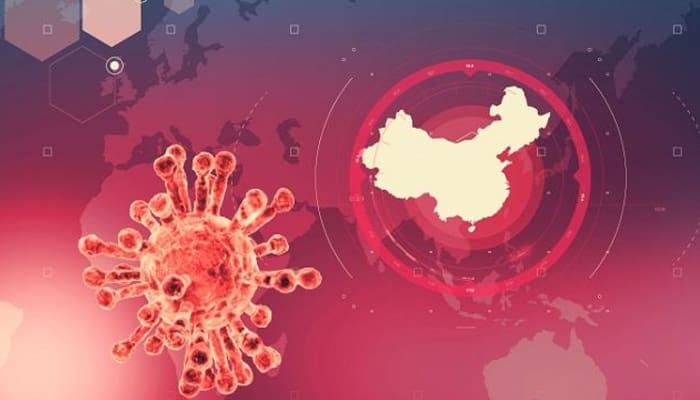 Virus Corona dan Karakter Manusia 1 Foto: Istimewa