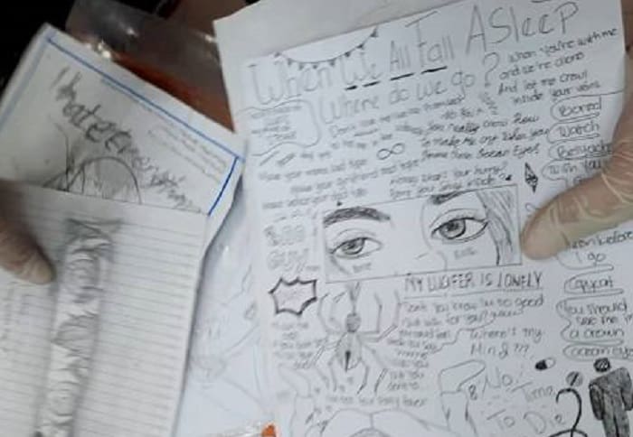 Buat Status FB Usai Bunuh Bocah, NF: Apa Dia akan Bangun dengan Kondisi Kayak Zombie? 1 Gadis pembunuh bocah terinspirasi film horor. Foto: Kumparan