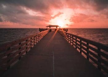 Ilustrasi: Unsplash