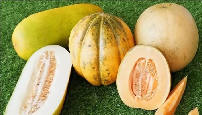 Ini Manfaat Blewah dan Timun Suri, Buah-Buahan Khas Ramadhan 1 Ilustrasi. Foto:
Popmama