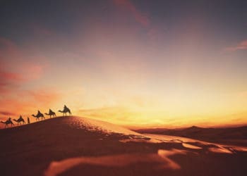 Detik-detik Kematian Nabi Muhammad, Sifat Para Sahabat Nabi, Fakta Nabi Ishaq, Ali bin Abi Thalib, https://chanelmuslim.com/kisah/utusan-quraisy-terakhir-yang-menemui-abu-thalib, Nabi Yaqub, Abu Ayyub Al Ansari, Malik bin Dinar