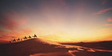 Detik-detik Hijrah, Ali bin Abi Thalib Tidur di Pembaringan Rasul 12 Detik-detik Kematian Nabi Muhammad, Sifat Para Sahabat Nabi, Fakta Nabi Ishaq, Ali bin Abi Thalib, https://chanelmuslim.com/kisah/utusan-quraisy-terakhir-yang-menemui-abu-thalib, Nabi Yaqub, Abu Ayyub Al Ansari, Malik bin Dinar