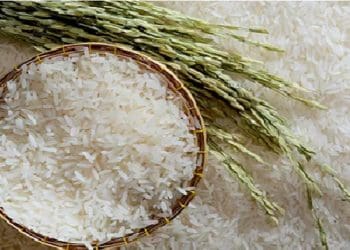 Ilustrasi. Foto: 
The Economic Times