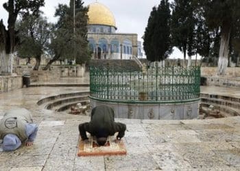 Ilustrasi. Foto: 
Publimetro