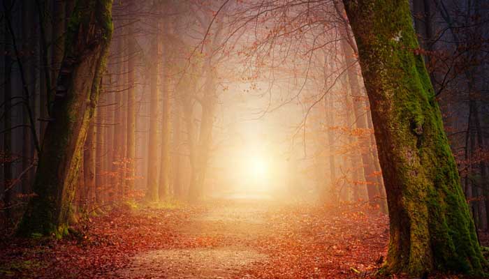 Inilah Gambaran Rasulullah 1 Ilustrasi: Unsplash