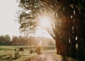 Ilustrasi. Foto: Unsplash