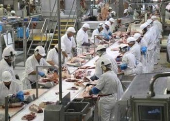 Ilustrasi Pabrik Daging. Foto: Detik