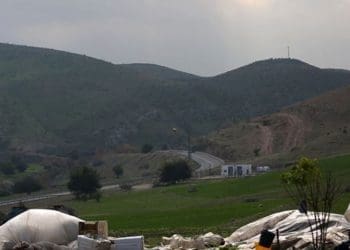 Ribuan hektar lahan Palestina terbakar akibat latihan militer Israel. Foto: PIC