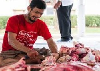 ketentuan pembagian daging kurban, daging dan jeroan