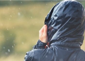 Ilustrasi. Foto: 
Winfields