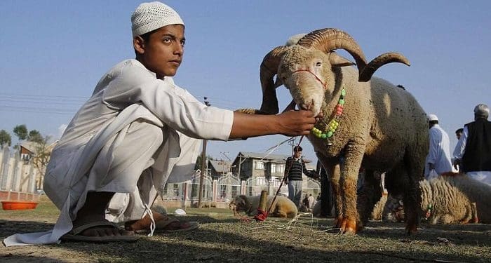 5 Amalan Khusus di Bulan Dzulhijjah 6 kurban
