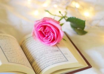 Ilustrasi. Foto: Pinterest