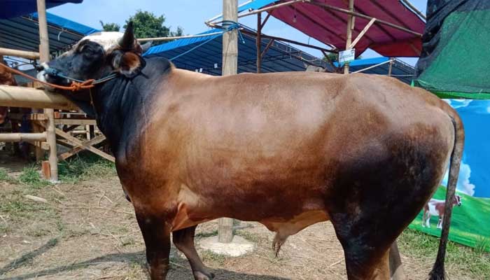 6 Amalan di Bulan Haji 3 amalan di bulan haji