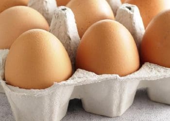 Ilustrasi. Foto: ms.hiloved