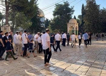 Yahudi serbu masuk Al Aqsha. Foto: PIC