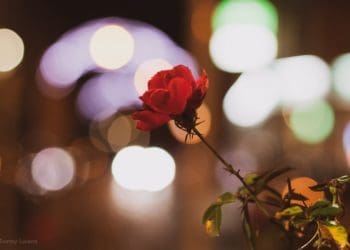 Ilustrasi. Foto: Unsplash