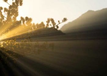 Ilustrasi: Unsplash