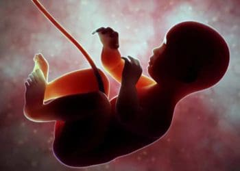 Ilustrasi: Business Insider