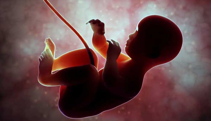 Bolehkah Menggugurkan Kandungan bagi Korban Pemerkosaan? 1 Menggugurkan Kandungan