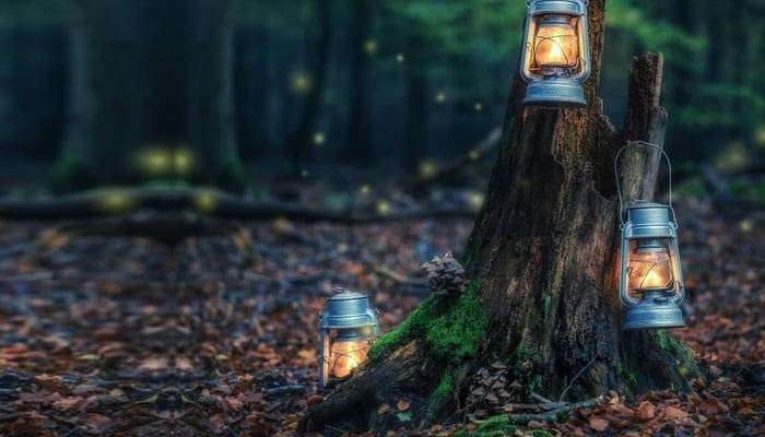 Sang Penebang Kayu dan Kapak yang Tak Pernah Diasah 2 Detik-detik Kematian Nabi Muhammad, Penebang kayu