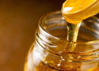 I;lustrasi. Foto: Brittanica