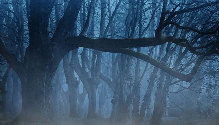 Mati Disiksa karena Tangisan Orang Hidup? (1) 1 Fakta Nabi Zakaria, Penebangan Liar