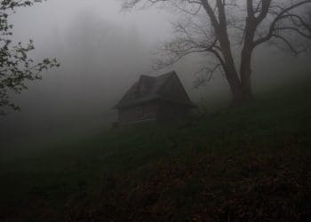 Ilustrasi. Foto: Unsplash