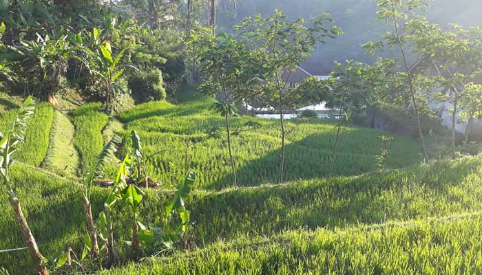 Ciptaan dan Perbuatan Manusia Terjadi karena Kebetulan? 1 Ilustrasi Foto: Islampos