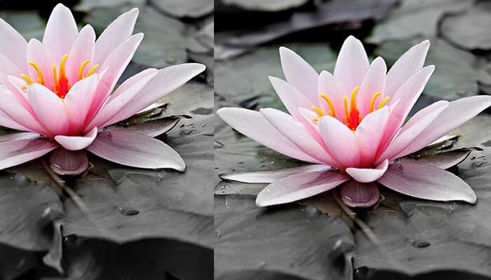 Inilah Sebaik-baik Wanita, Mau Seperti Apa Lagi? 1 Sebaik-baik wanita, Zina, Ketentuan Ibadah Wanita Istihadhah