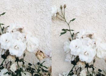 Istri Nabi Muhammad SAW, Putri Rasulullah