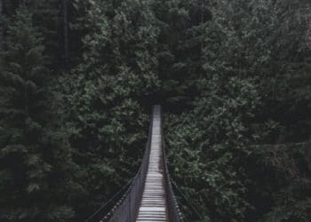 Ilustrasi. Foto: Unsplash