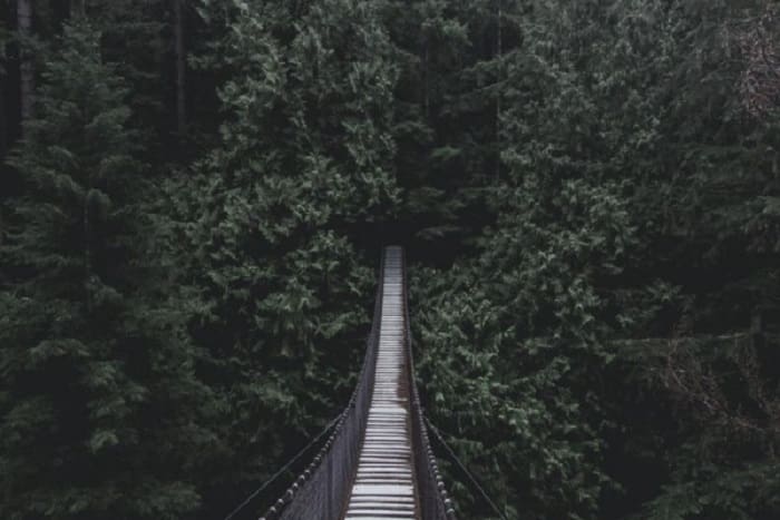 Amalan yang Bisa Selamatkan dari Siksa Kubur 1 Ilustrasi. Foto: Unsplash