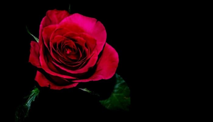 5 Syarat Perceraian Dalam Islam 1 5 Syarat Perceraian Dalam Islam 1