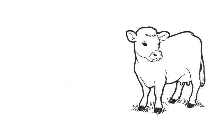 Doa dan Sapi yang Terjerambab ke Dalam Lubang 2 doa