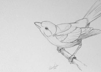 Amalan Umar bin Khattab