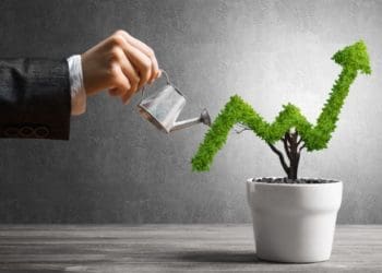 Ilustrasi. Foto: Catana Capital