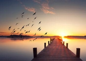 Ilustrasi. Foto: Azutura