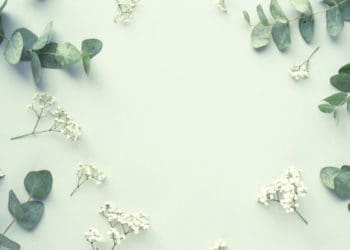 Tata cara bersuci selepas haid, Suami Menikah Lagi