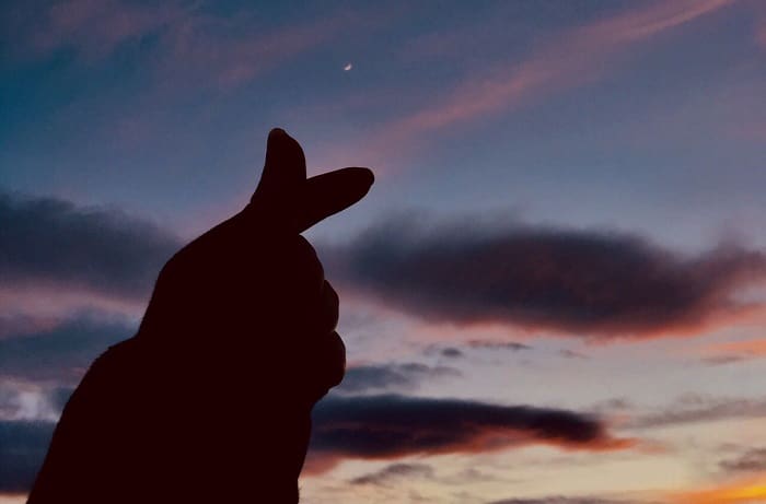 Apa Hukum Tiru Finger Heart Ala Korea dalam Islam? 1 Ilustrasi. Foto: Pinterest