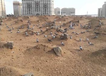 ziarah kubur, fidyah