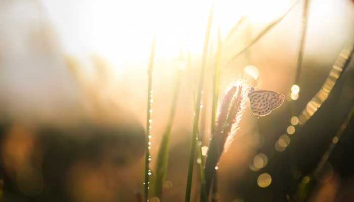 Warisan Ulama Salaf 1 Foto: Freepik