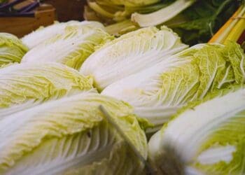 sawi putih, kesehatan