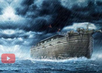 Fakta Nabi Nuh, Wasiat Nabi Nuh, Bahtera Nabi Nuh, Nabi Nuh, Nabi Nuh