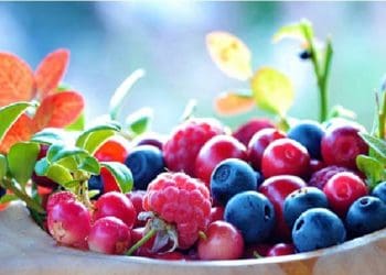 Ilustrasi. Foto: 
iStock