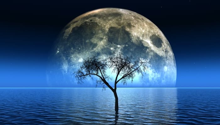 Inilah Kemuliaan Lailatul Qadar 2 bulan apit, Surat Al-Mursalat, Amalan Peringan Siksa Kubur, Kemuliaan Lailatul Qadar
