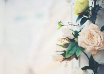 Hukum Melihat Aurat. wanita ahl;i surga