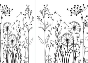 Halimah As-Saadiah, Nama Istri Nabi Muhammad, Ciri-Ciri Wanita Penghuni Surga, Gadis Cantik