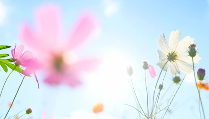 Muslimah, Ini 6 Cara Atasi Bau Badan! 1 Cara Atasi Bau Badan